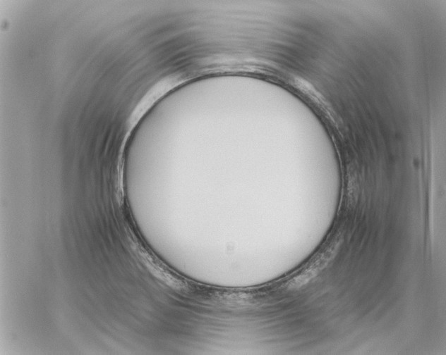 X0000058131370200510212035