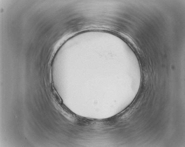 X0000058131371200510212035