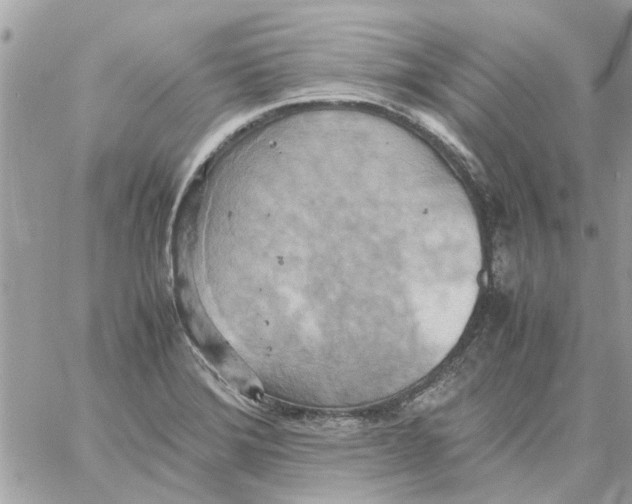 X0000058131372200510212035