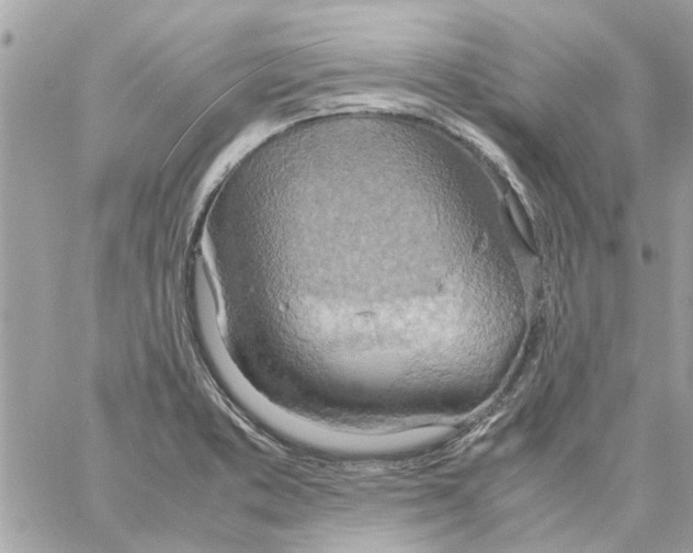 X0000058131373200510212035