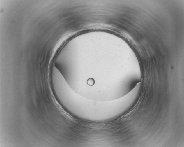 X0000058131376200510212035