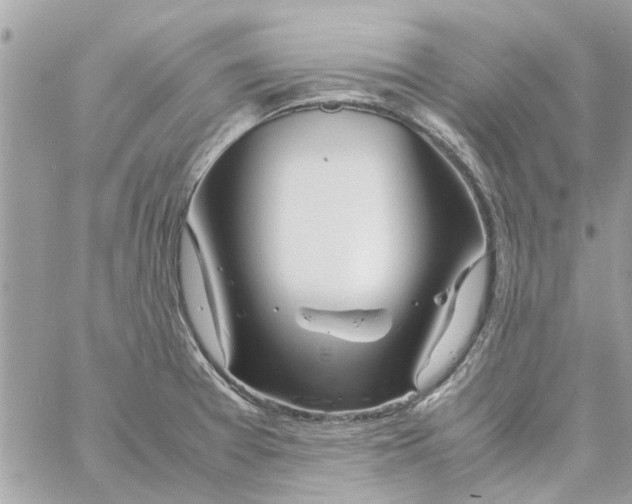 X0000058131377200510212035