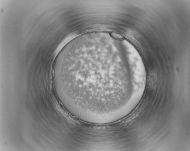 X0000058131378200510212035