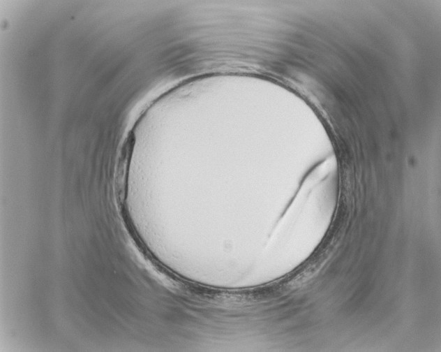 X0000058131379200510212035