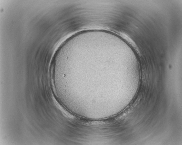 X0000058131380200510212035