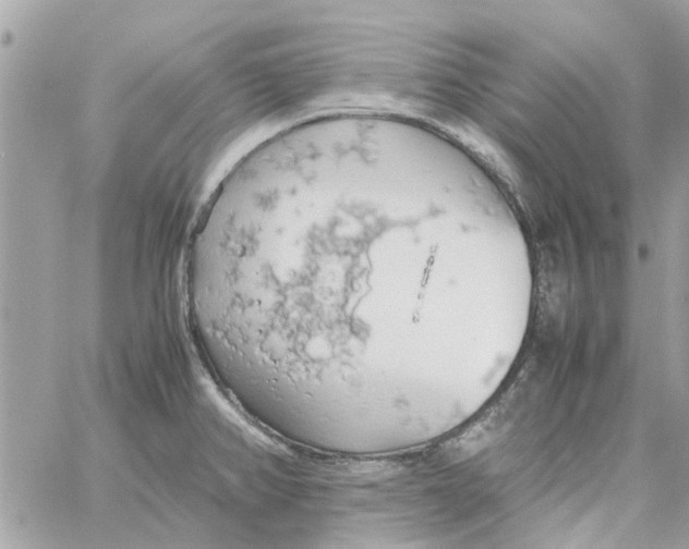 X0000058131382200510212035