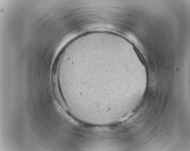 X0000058131384200510212035