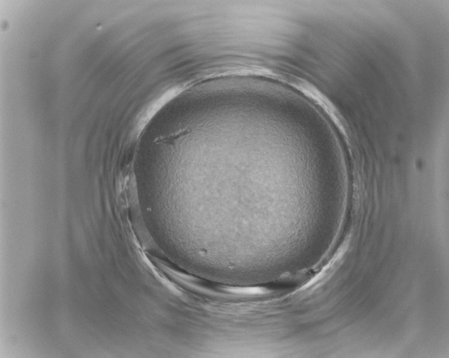 X0000058131385200510212035