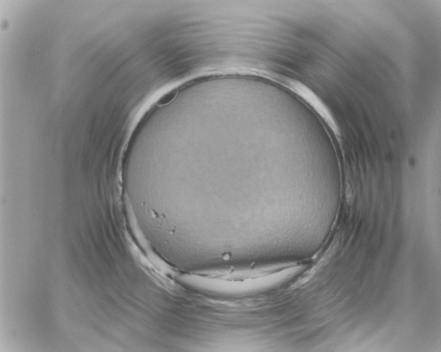 X0000058131388200510212035