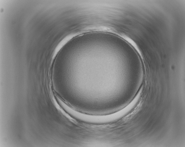 X0000058131389200510212035