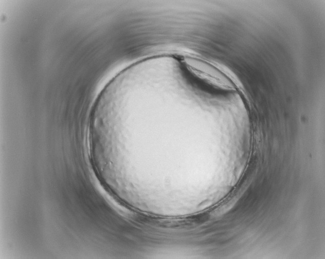 X0000058131391200510212035