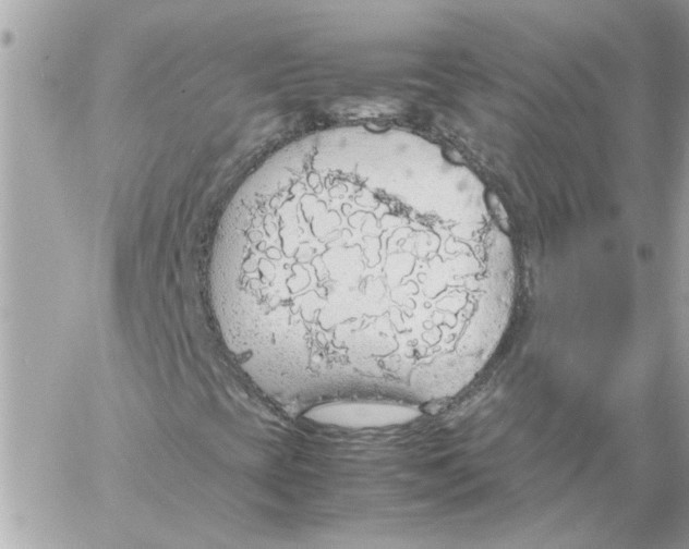 X0000058131393200510212034