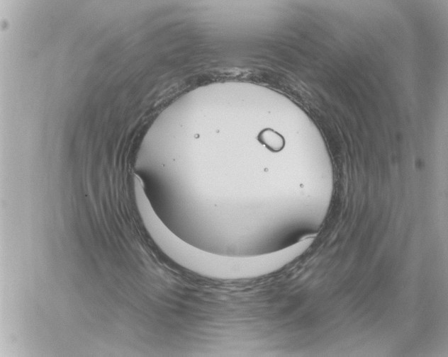 X0000058131394200510212034