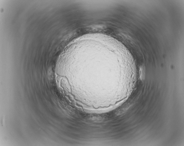 X0000058131395200510212034