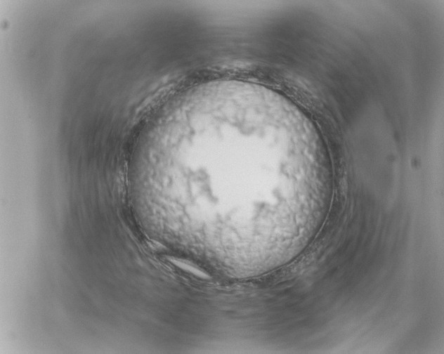 X0000058131397200510212034