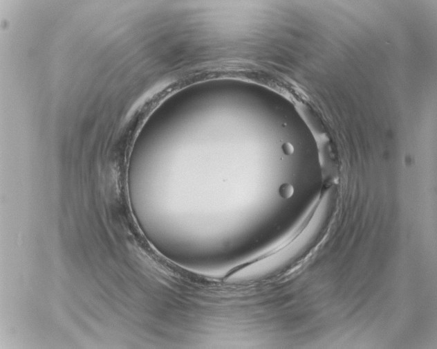 X0000058131402200510212034