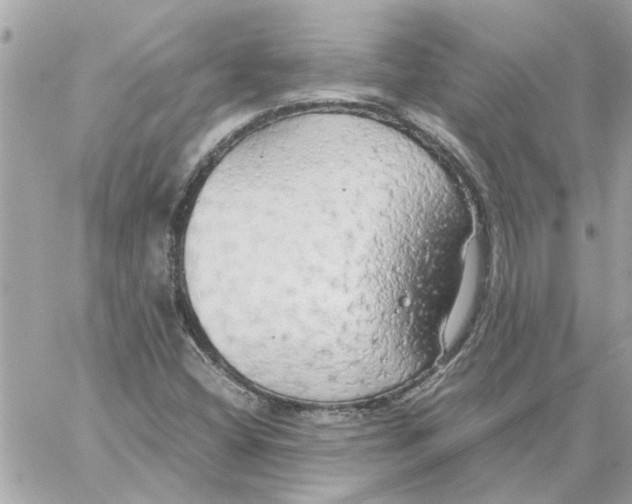 X0000058131404200510212034