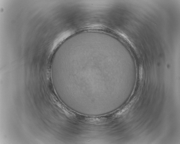 X0000058131405200510212034