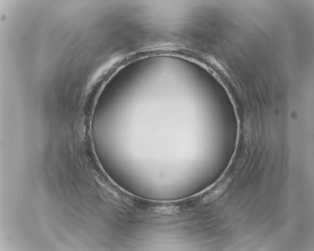 X0000058131406200510212034