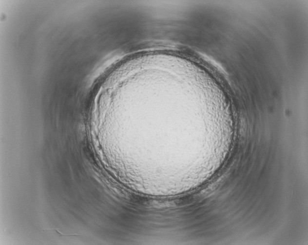 X0000058131407200510212034