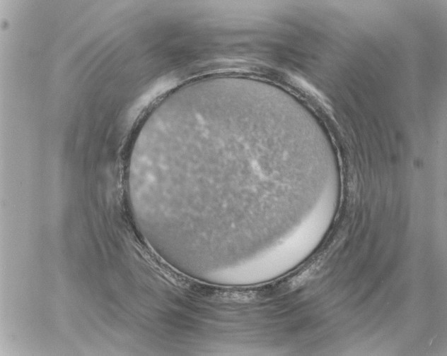 X0000058131411200510212034