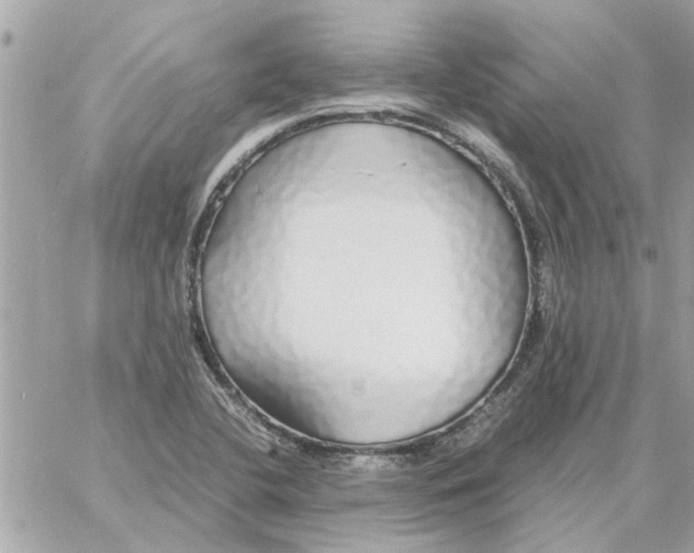 X0000058131412200510212034