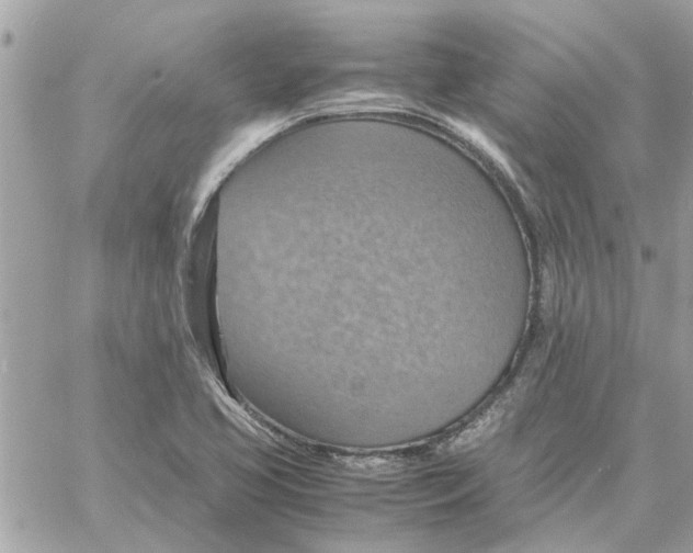 X0000058131413200510212034