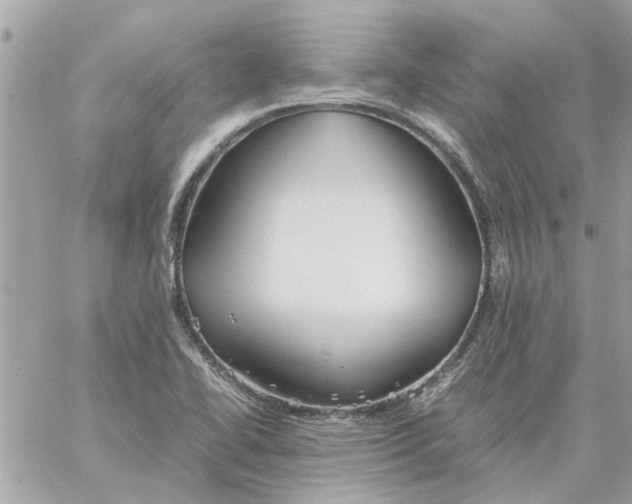 X0000058131414200510212034