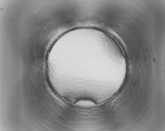 X0000058131416200510212034