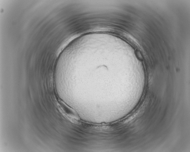 X0000058131417200510212034