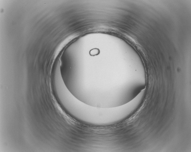 X0000058131418200510212034