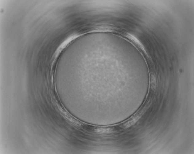 X0000058131419200510212034