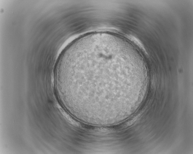 X0000058131420200510212034