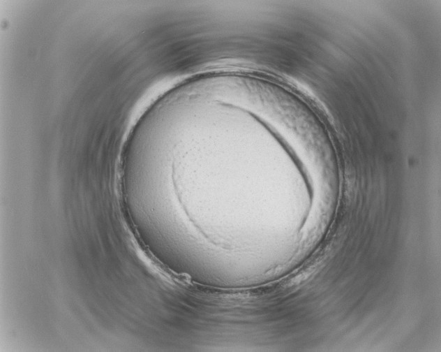 X0000058131421200510212034