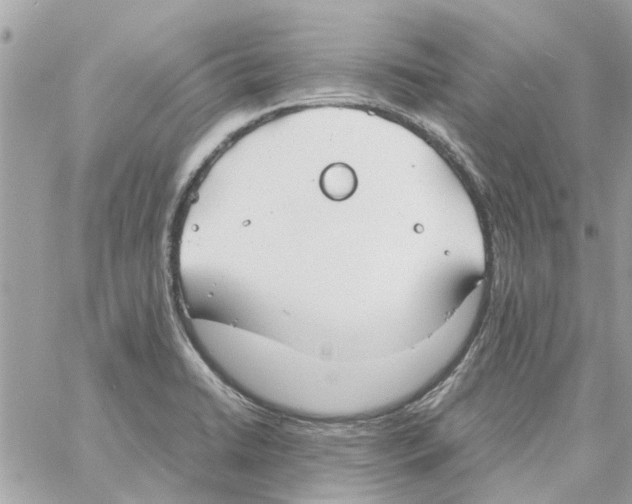 X0000058131422200510212034