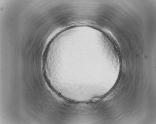 X0000058131424200510212034