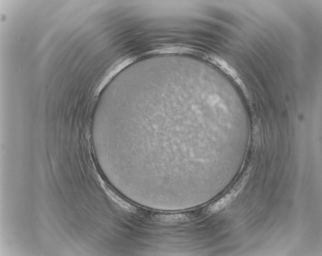 X0000058131425200510212034