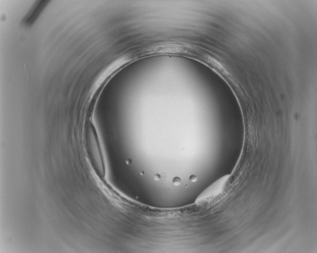 X0000058131426200510212034