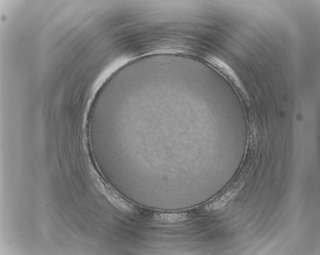 X0000058131427200510212034