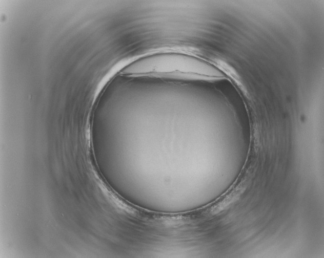 X0000058131428200510212034