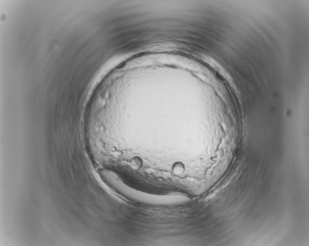 X0000058131429200510212034