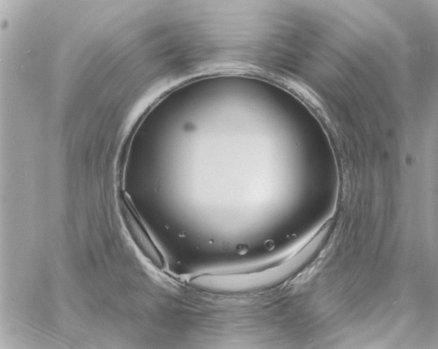 X0000058131430200510212034