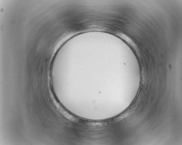 X0000058131431200510212034