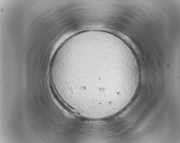 X0000058131432200510212034