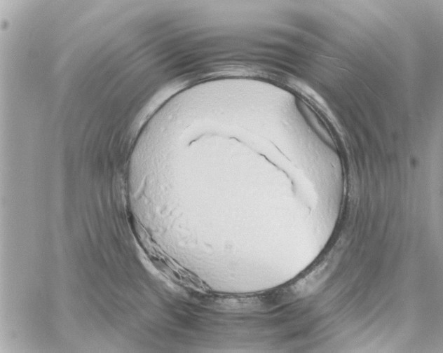 X0000058131433200510212034