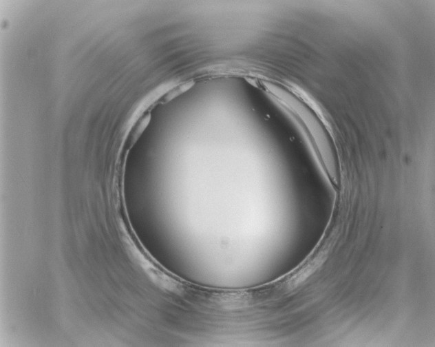 X0000058131434200510212034