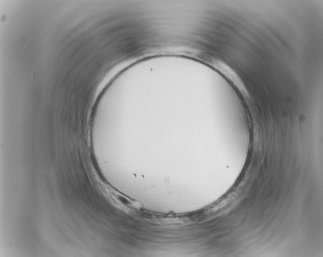 X0000058131436200510212034