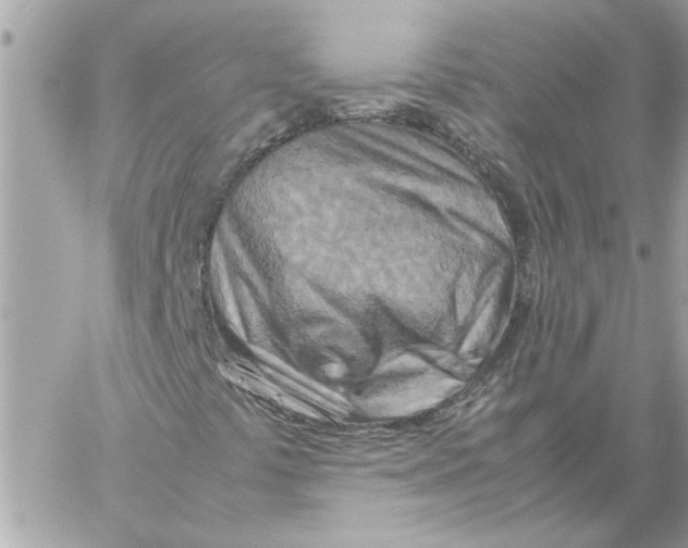 X0000058131441200510212034