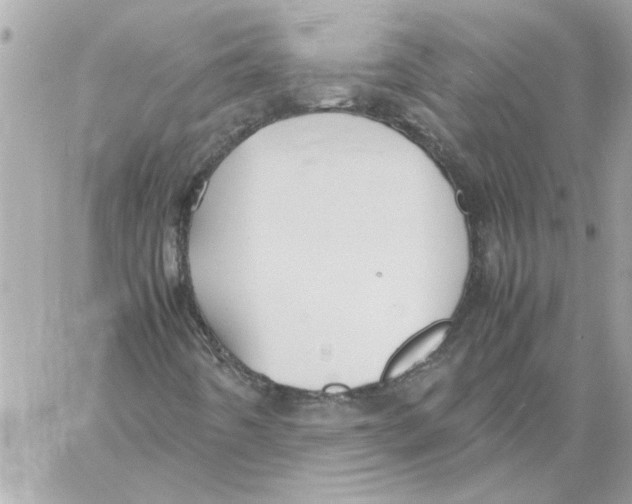 X0000058131442200510212034