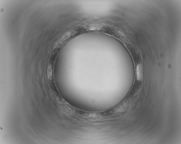 X0000058131443200510212034